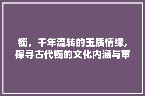 镯，千年流转的玉质情缘,探寻古代镯的文化内涵与审美价值