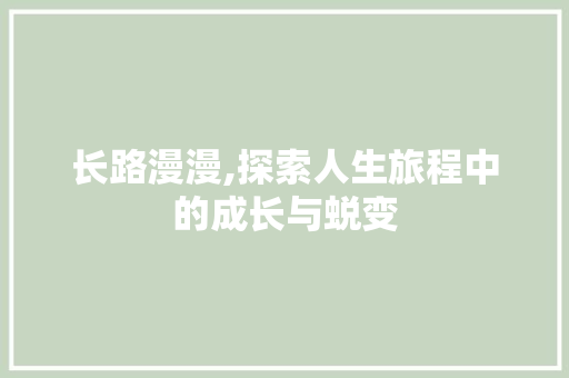 长路漫漫,探索人生旅程中的成长与蜕变