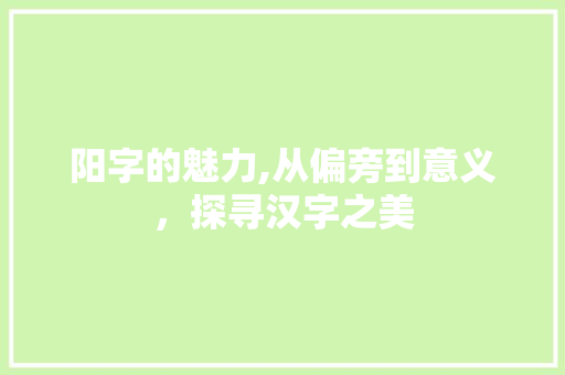 阳字的魅力,从偏旁到意义，探寻汉字之美