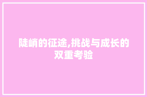 陡峭的征途,挑战与成长的双重考验