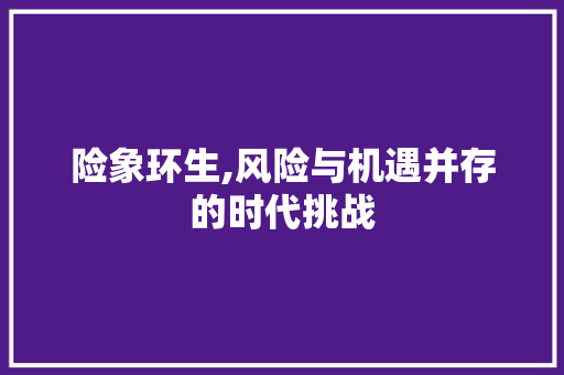 险象环生,风险与机遇并存的时代挑战
