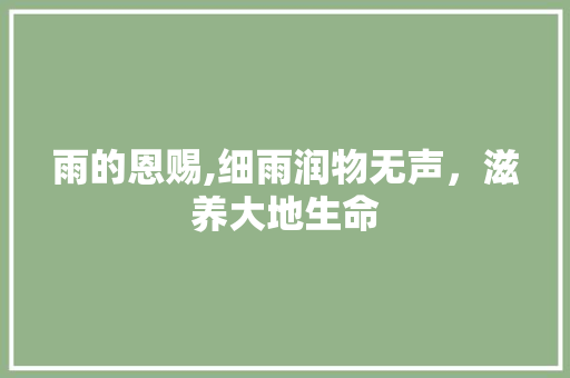 雨的恩赐,细雨润物无声，滋养大地生命