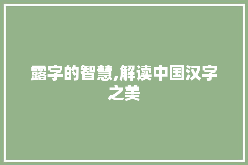 露字的智慧,解读中国汉字之美