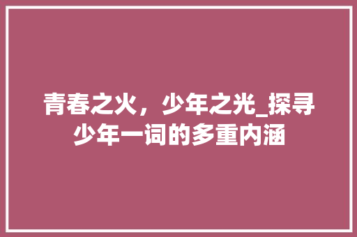 青春之火，少年之光_探寻少年一词的多重内涵
