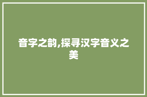 音字之韵,探寻汉字音义之美