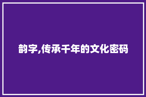 韵字,传承千年的文化密码