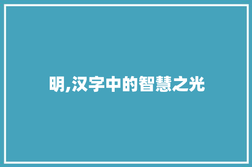 明,汉字中的智慧之光