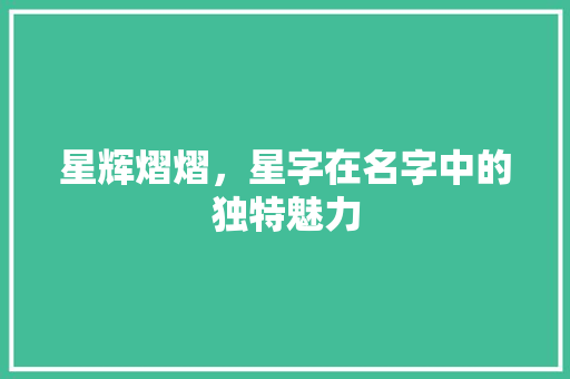 星辉熠熠，星字在名字中的独特魅力