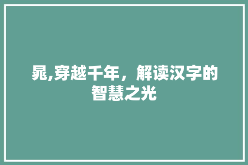 晁,穿越千年，解读汉字的智慧之光