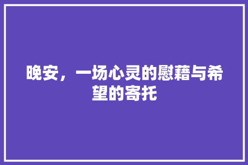 晚安，一场心灵的慰藉与希望的寄托