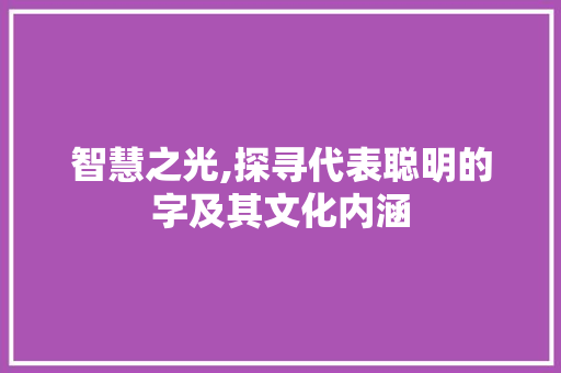 智慧之光,探寻代表聪明的字及其文化内涵 优秀范文