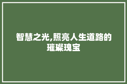 智慧之光,照亮人生道路的璀璨瑰宝