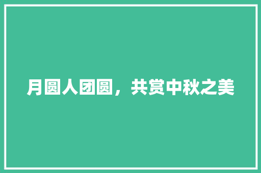 月圆人团圆，共赏中秋之美