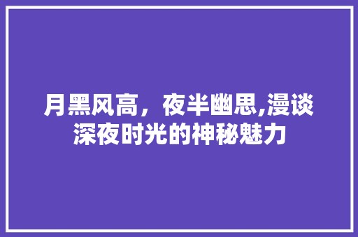 月黑风高，夜半幽思,漫谈深夜时光的神秘魅力