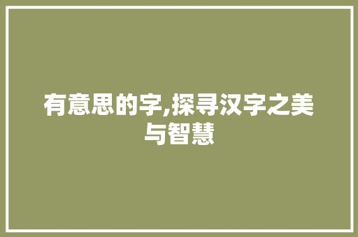 有意思的字,探寻汉字之美与智慧