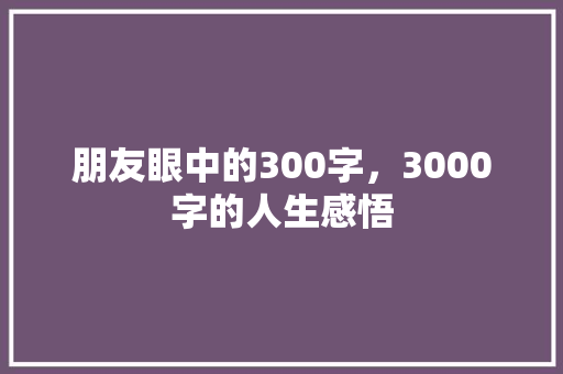 朋友眼中的300字，3000字的人生感悟