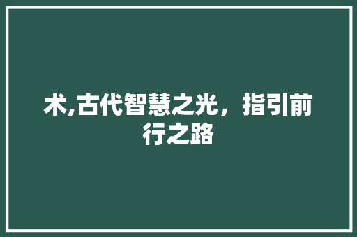 术,古代智慧之光，指引前行之路
