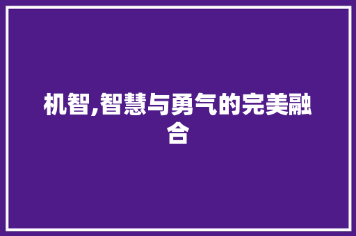 机智,智慧与勇气的完美融合