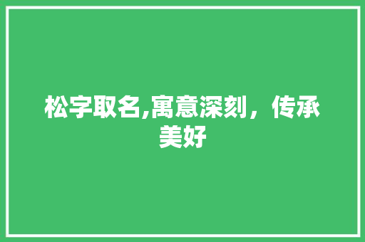 松字取名,寓意深刻，传承美好