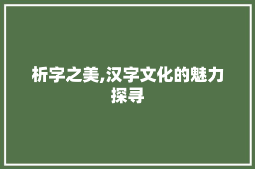 析字之美,汉字文化的魅力探寻