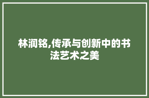 林润铭,传承与创新中的书法艺术之美