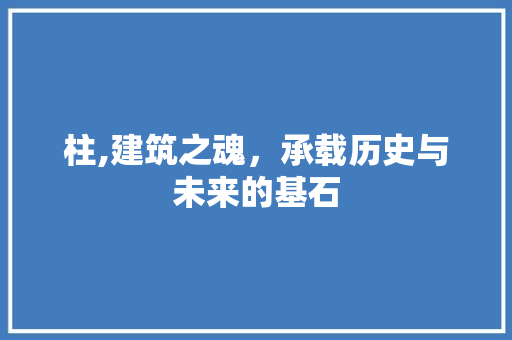 柱,建筑之魂，承载历史与未来的基石