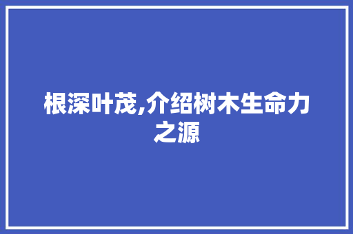 根深叶茂,介绍树木生命力之源