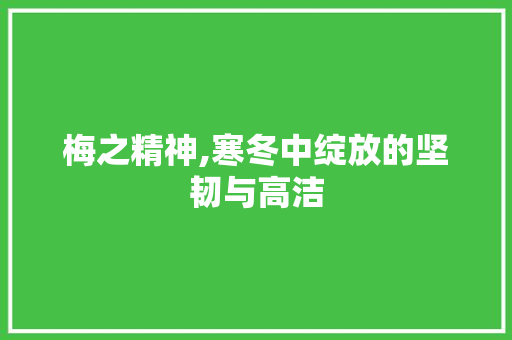 梅之精神,寒冬中绽放的坚韧与高洁