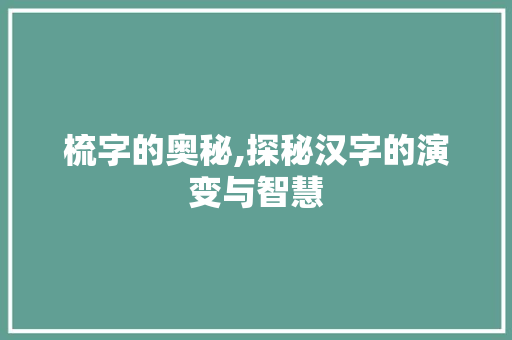 梳字的奥秘,探秘汉字的演变与智慧