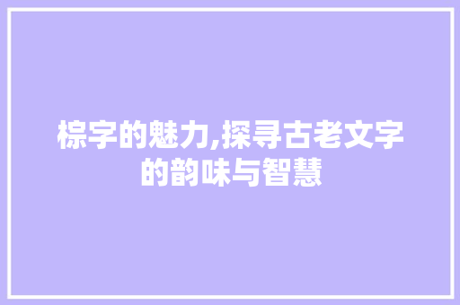 棕字的魅力,探寻古老文字的韵味与智慧