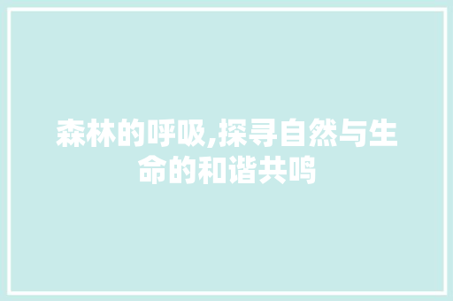 森林的呼吸,探寻自然与生命的和谐共鸣