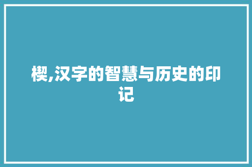 楔,汉字的智慧与历史的印记