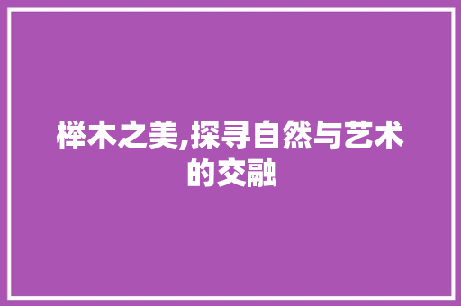 榉木之美,探寻自然与艺术的交融