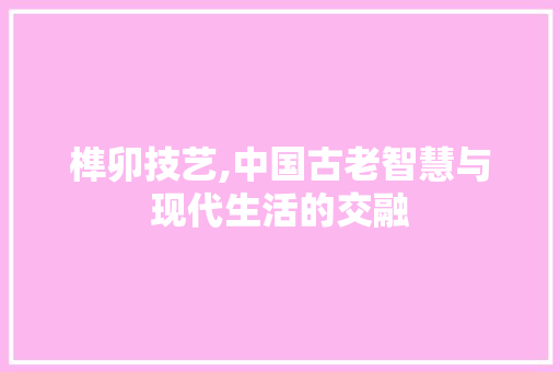 榫卯技艺,中国古老智慧与现代生活的交融