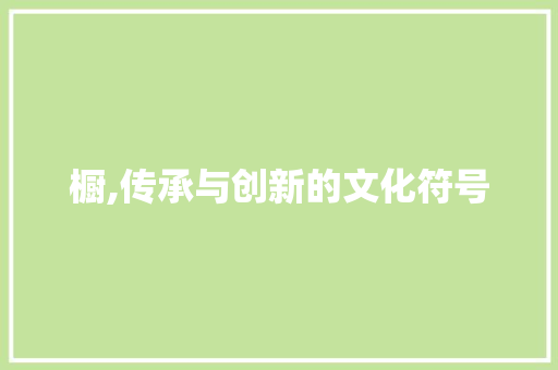 橱,传承与创新的文化符号