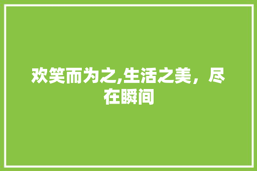 欢笑而为之,生活之美，尽在瞬间