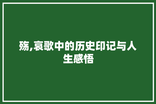 殇,哀歌中的历史印记与人生感悟