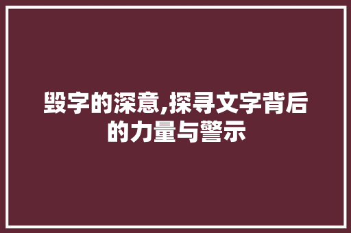 毁字的深意,探寻文字背后的力量与警示 商业计划书范文