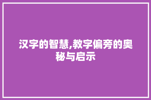 汉字的智慧,教字偏旁的奥秘与启示