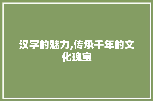 汉字的魅力,传承千年的文化瑰宝