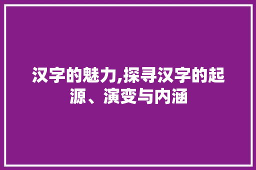 汉字的魅力,探寻汉字的起源、演变与内涵