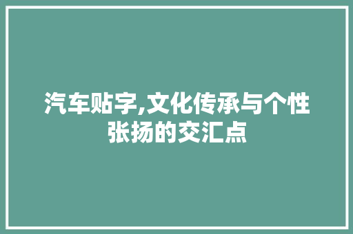 汽车贴字,文化传承与个性张扬的交汇点