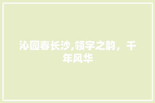 沁园春长沙,领字之韵，千年风华