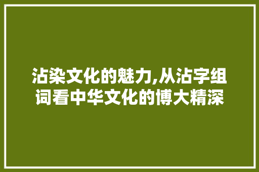 沾染文化的魅力,从沾字组词看中华文化的博大精深