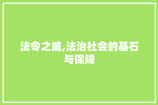 法令之威,法治社会的基石与保障