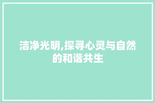 洁净光明,探寻心灵与自然的和谐共生 范文宝典