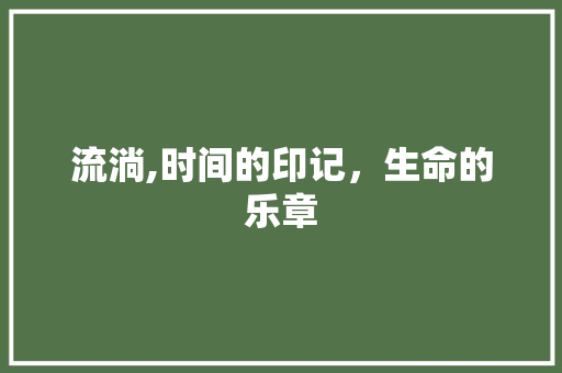 流淌,时间的印记，生命的乐章