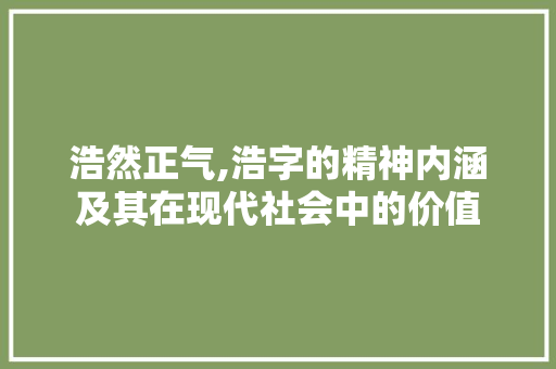浩然正气,浩字的精神内涵及其在现代社会中的价值