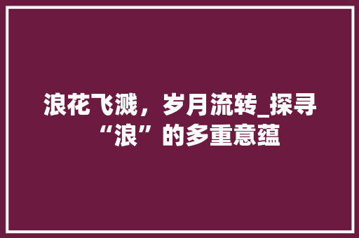 浪花飞溅，岁月流转_探寻“浪”的多重意蕴
