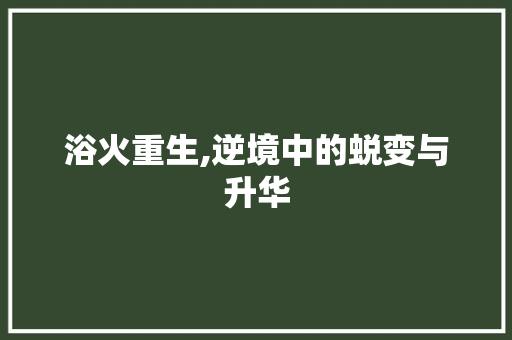 浴火重生,逆境中的蜕变与升华